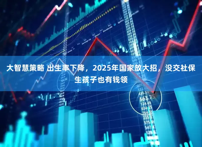 大智慧策略 出生率下降，2025年国家放大招，没交社保生孩子也有钱领